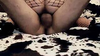 Amateur Collection With Milf In Stockings