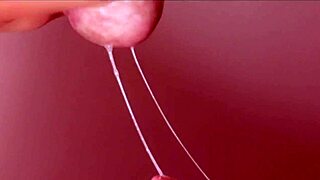 Feeling the passion in this close-up amateur blowjob ending with cum in mouth