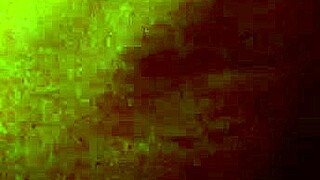 girlfriend enjoying a quiet moment with her friend