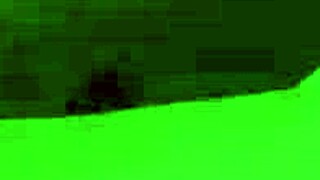 These Latinas ride dildos doggystyle with perfect booties