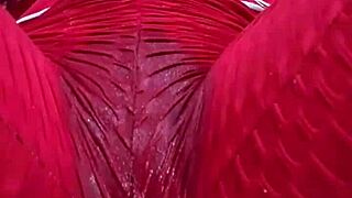 Colombian Rubs Pussy Through Leggings Until Soaking Them With Dirty Talk!