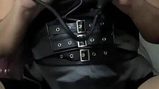 intriguing instructions to open your backdoor with toys