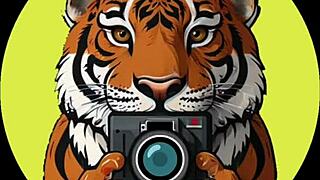 i’m pounding hot thai influencer after waking up pov