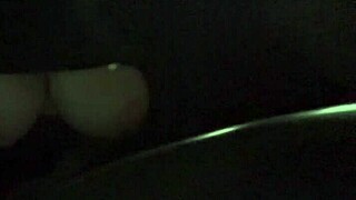 Artemisia Love Flashes Big Tits While Driving