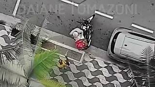 descendo pra pegar ifood e vizinho me chama pra fuder 😏