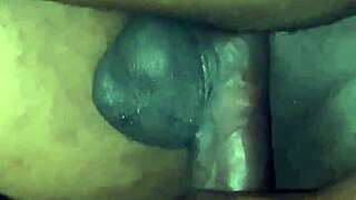 anita wet pussy update homemade pov blowjob