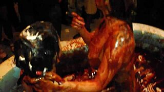 Feeling the Thrill in Chocolate Wrestling Olympics Movie