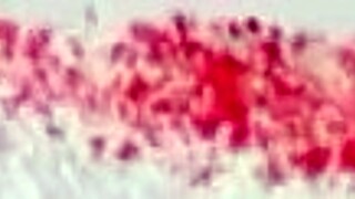 Morena Putinha Fucks Me Then Shows Another Her Wrecked Pussy