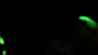 indonesian woman invites ex home while husband works