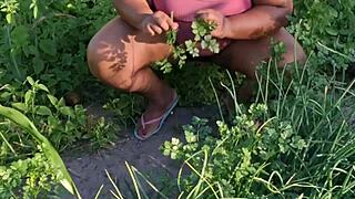 Crente Cuidando Da Horta Da Igreja