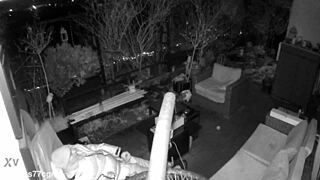 M4rkus77cgn - Update 4 - M4rkus77 Caught Jerking And Cumming With Moans Via Spy Cam