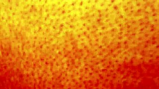 dozier313 ass fucks ebony bbw creampie outdoor