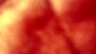 she arrives for an intriguing encounter with a big black cock, wet and shaved pussy involved