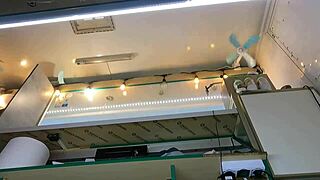 the boss is playing with his sexy shop assistant pussy while she talks to the customer