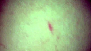 Feeling so rough in missionary with my bull's monster cock.