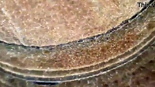 Brazilian Milf Enjoys Oral Sex with Hot Tongue on Clit