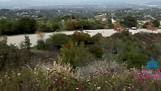 Cecelia taylor gives amazing roadhead pov on date