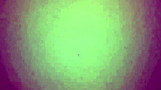 latina milf's beautiful ass looks delicious