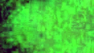 daddy dominates housewife with dirty talk, licking her hairy ass and tits close up