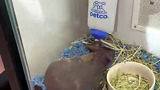 i watch petite teen khloe kapri exposed in public sucking cock pov