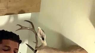 Ebony Woman Gets Rough Missionary Fucking And Creampie In Hotel