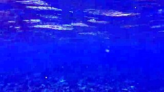 Beauty demonstrates impressive dildo collection