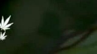 I fucked that young 18+ girl right after the carnival in the public bathroom, it was so taboo and exciting!