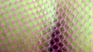 my greedy pussy winks with anal plug in it