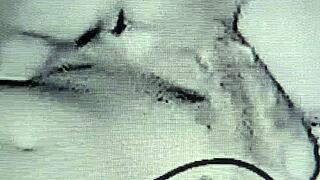 The Horny Housewife Loves Being with Two Amateurs