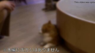 Amateur college girl kaori's tall body enjoyed in creampie