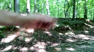 Clitlicker update 37