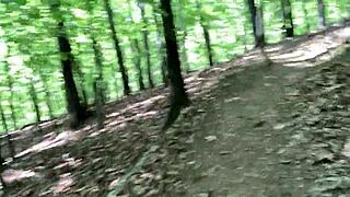 Clitlicker update 37