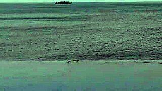 relaxing by the infinity pool