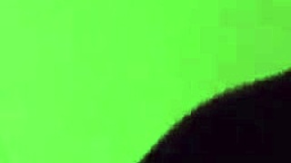 I fuck the maid whore part 2