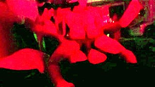 Naughty girl orgies with four friends, condom-free, to funk and red lights