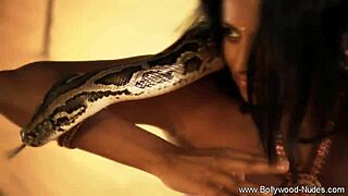 Bollywood Wife Stripping For You