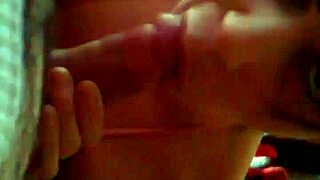 Dayzee enjoys a playful activity again for fun