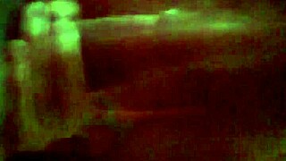 Dayzee enjoys a playful activity again for fun