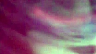 Dayzee enjoys a playful activity again for fun