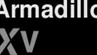 Access the full version at the provided link