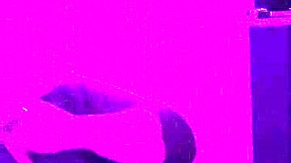 Wife Gives Naughty Blowjob with Choking and Gagging