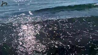 Horny Babe Double Squirt On Beach