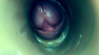 internal camera fuck in pussy big pulsating cumshot