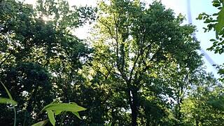 public jerkoff at the park cum went everywhere hopefully nobody saw