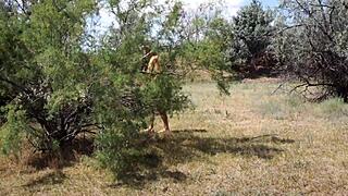 Shy Aboriginal Woman Dances Outdoors