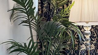 benefit monkey liz ocean gives me an amazing blowjob and i cant resist her pink pussy