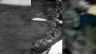 she gave me lingerie then offered her ass for fucking