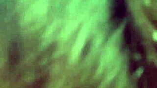 My girlfriend says she loves sucking my balls so much.