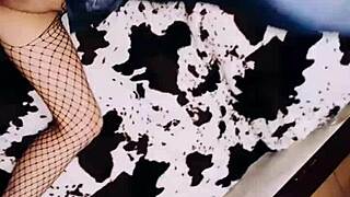 a wife in fishnets spreads her legs, revealing her erotic side.