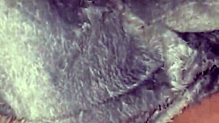 Smashed That Phat Pussy In Garage 😈